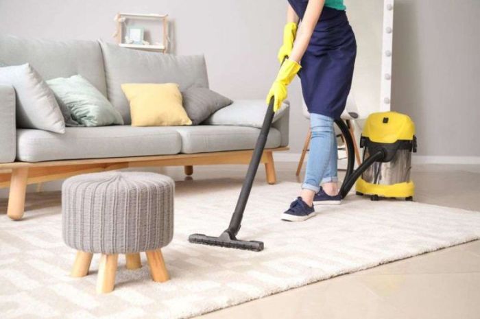area-rug-cleaner